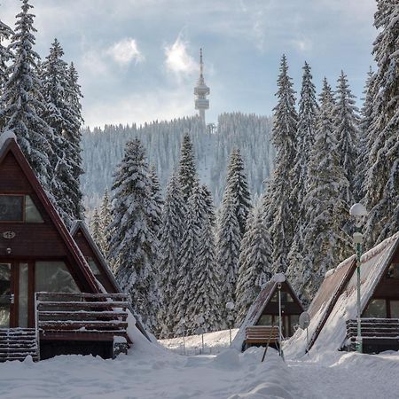 Complex Malina Pamporovo Villa Exteriör bild