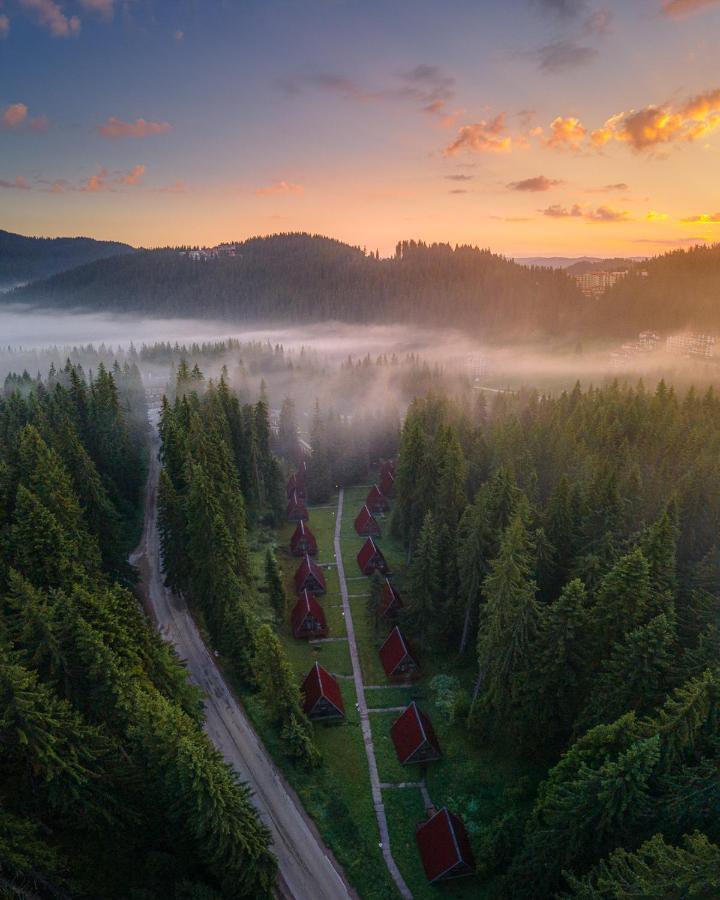 Complex Malina Pamporovo Villa Exteriör bild