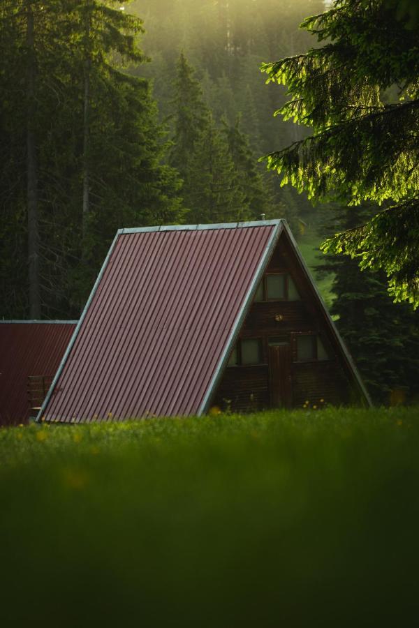 Complex Malina Pamporovo Villa Exteriör bild
