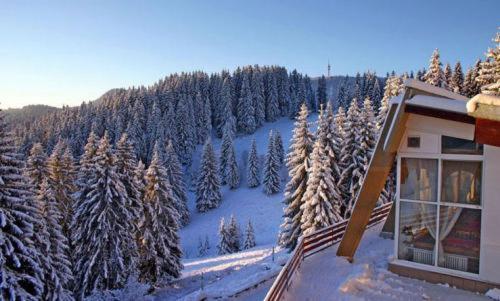 Complex Malina Pamporovo Villa Exteriör bild
