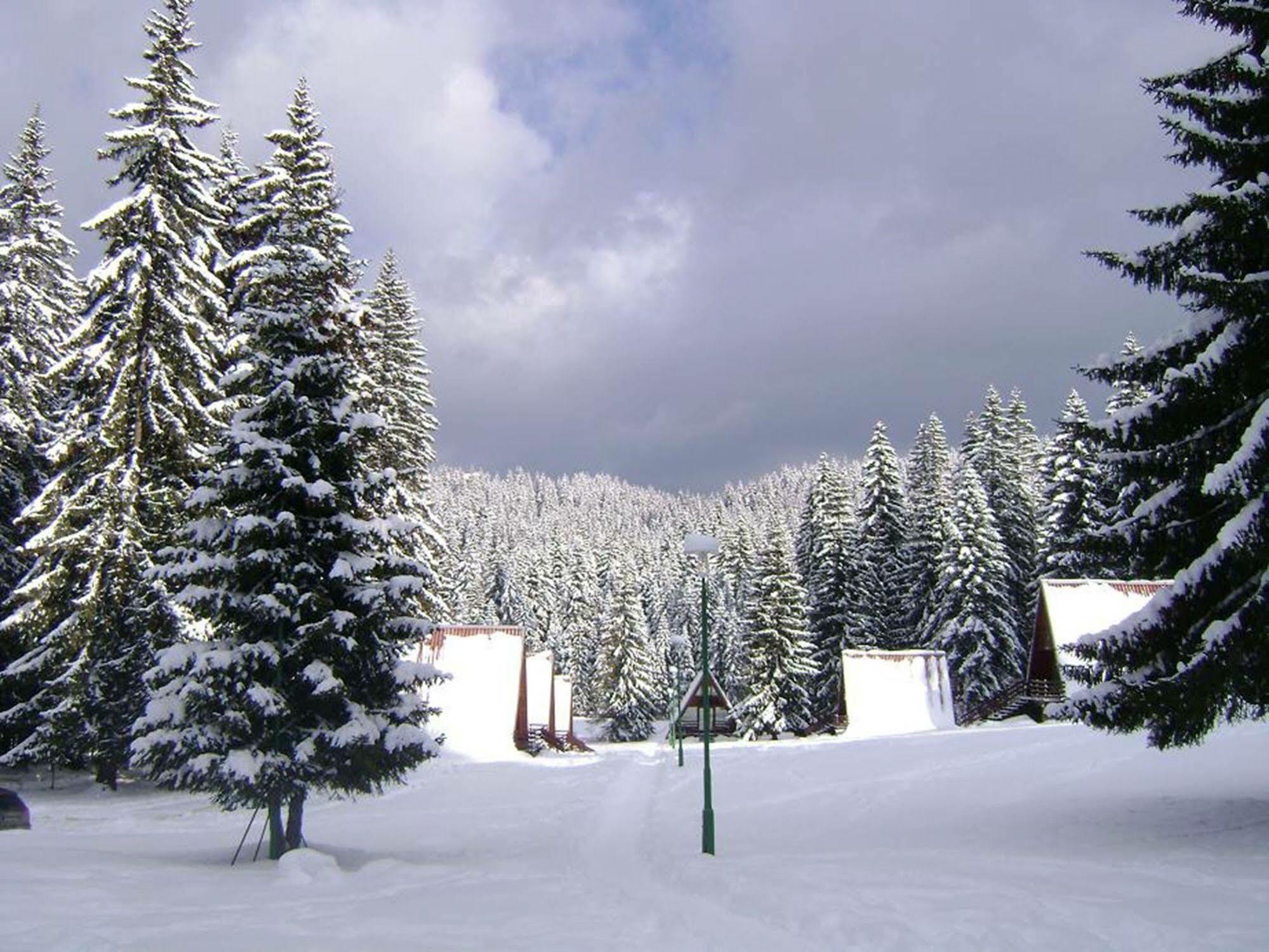 Complex Malina Pamporovo Villa Exteriör bild