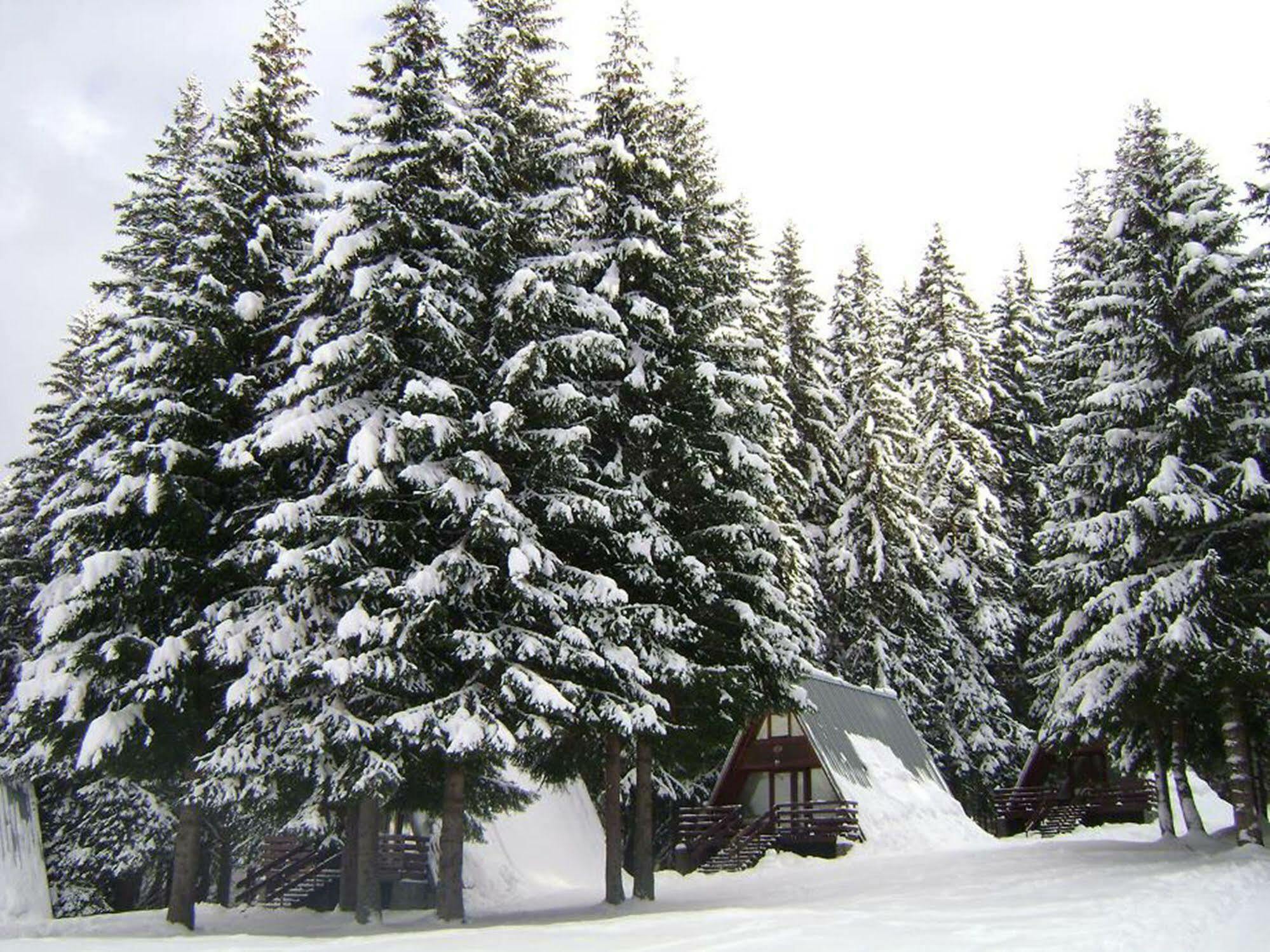 Complex Malina Pamporovo Villa Exteriör bild