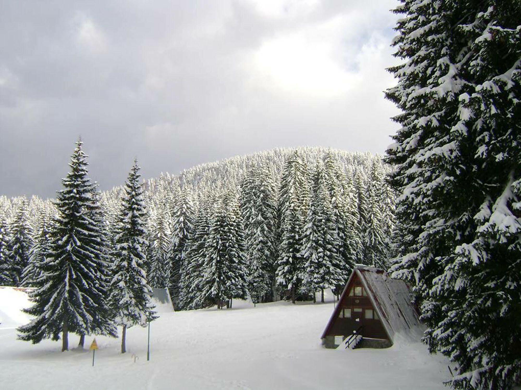 Complex Malina Pamporovo Villa Exteriör bild